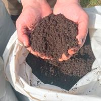 Humus di Lombrico da letame equino