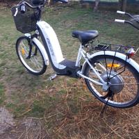 ecobike elettrica 800watt 