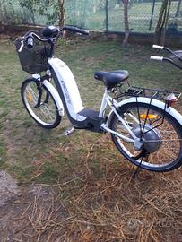 ecobike elettrica 800watt 