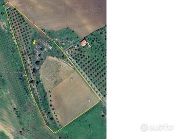 Terreno agricolo per fotovoltaico