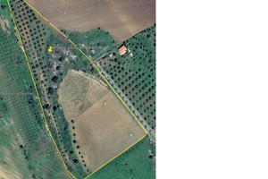 Terreno agricolo per fotovoltaico