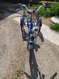 bicicletta 