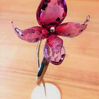 Swarovski, fiore ORCHIDEA DORORA, 2006