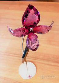Swarovski, fiore ORCHIDEA DORORA, 2006
