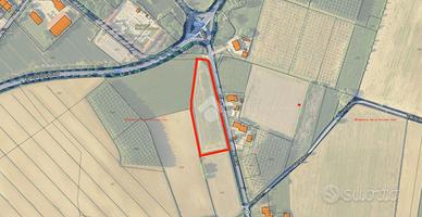 TER. AGRICOLO A SESTO AL REGHENA