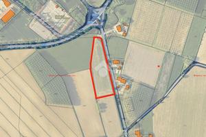 TER. AGRICOLO A SESTO AL REGHENA