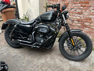 883 iron Harley davidson