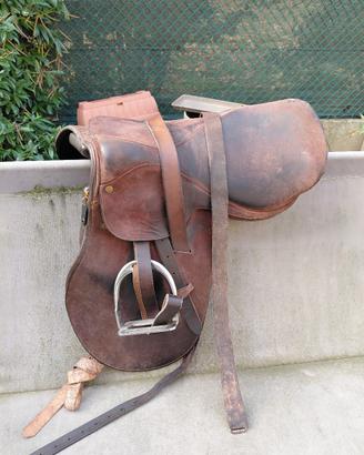 Selle e attrezzature da equitatzione