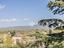 Immagine 28