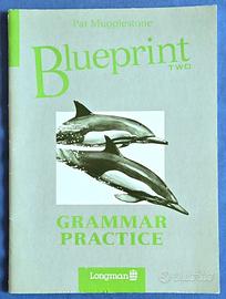 Blueprint Two - Grammar Practice