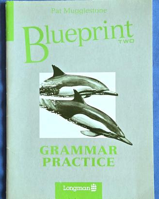 Blueprint Two - Grammar Practice