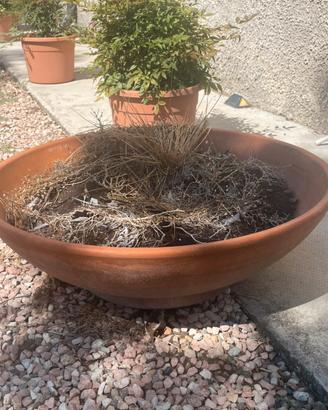 3 Ciotole da giardino grande in terracotta