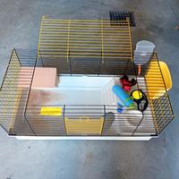 Gabbia per coniglio XXL conpleta di accessori 