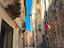 Immagine 6