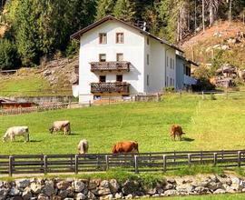 Casa vacanze immersa nella natura