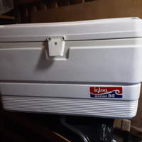 Ghiacciaia igloo marine 54