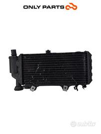 Radiatore Acqua + Ventola BMW F 650 CS 2001