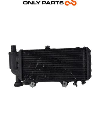 Radiatore Acqua + Ventola BMW F 650 CS 2001