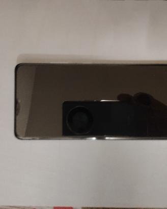 SAMSUNG S 21 ULTRA  256 GB argento  + SPen