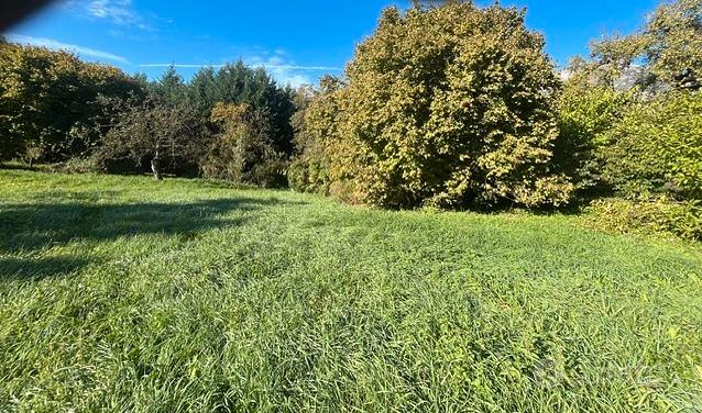 Terreno a Ponte nelle Alpi (Loc. Canevoi) - Vista 2