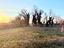Immagine 11