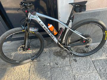 MTB OLYMPIA IRON