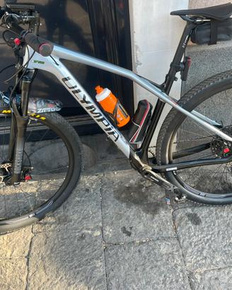 MTB OLYMPIA IRON