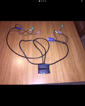 Switch per Collegare Due Pc Insieme