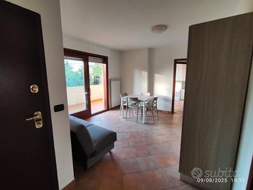 Ampia stanza ben arredata con balcone