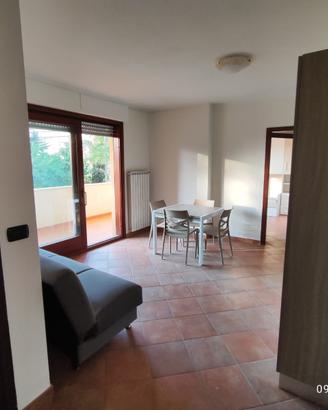 Ampia stanza ben arredata con balcone