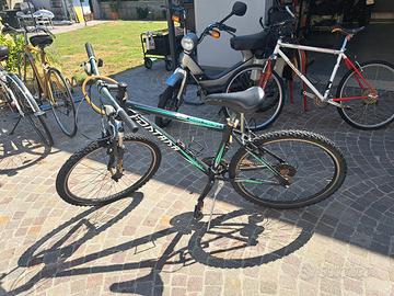 bicicletta MTB