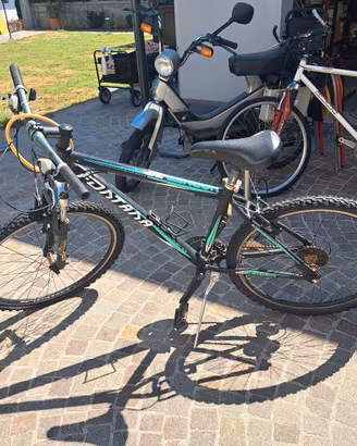 bicicletta MTB