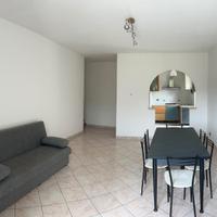 Stanze in appartamento ampio e luminoso