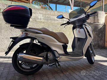 Malaguti Password 250