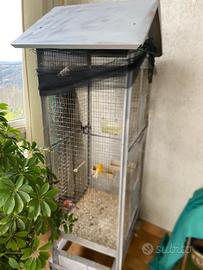 Gabbia voliera per uccelli