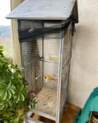 Gabbia voliera per uccelli