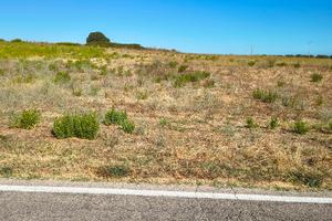 Terreno agricolo Guglionesi  🌀