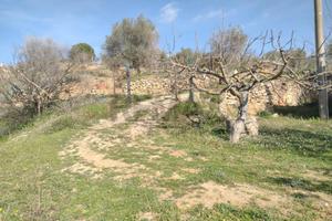 Rustico - Piazza Armerina