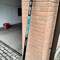 Canna trota torrente