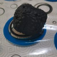 tartufo da addestramento 