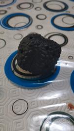 tartufo da addestramento 