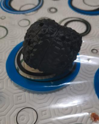 tartufo da addestramento 