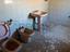 Immagine 28