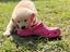 Immagine 5
