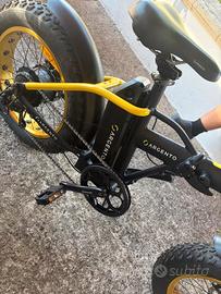 bici elettrica 