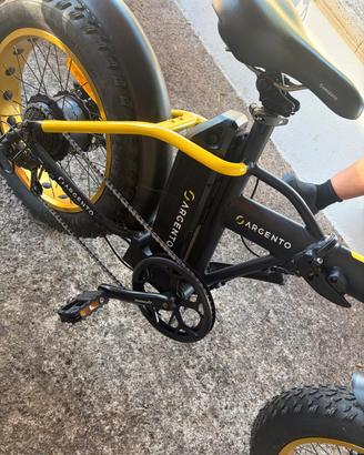 bici elettrica 