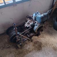 varicello da montagna x tirare tronchi 