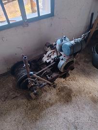 varicello da montagna x tirare tronchi 