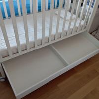 Culletta erbesi BuBu