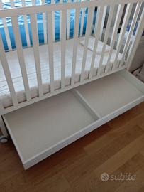 Culletta erbesi BuBu